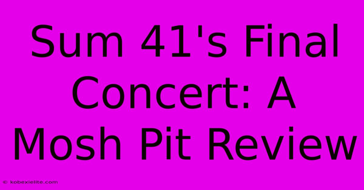 Sum 41's Final Concert: A Mosh Pit Review