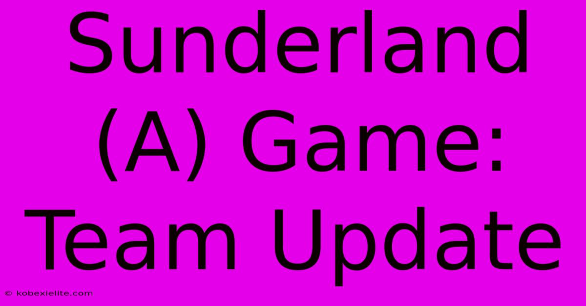 Sunderland (A) Game: Team Update