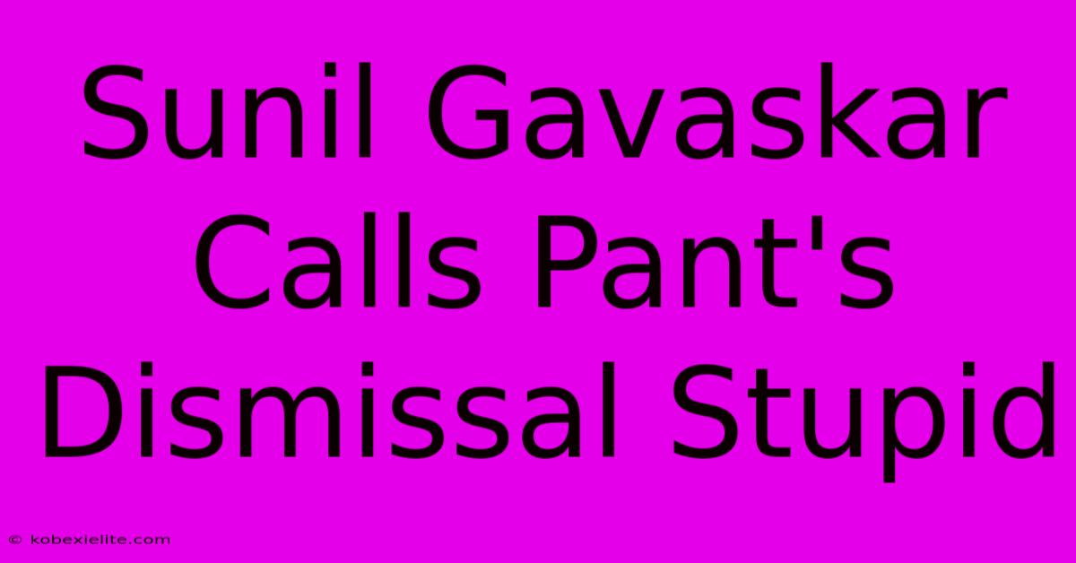 Sunil Gavaskar Calls Pant's Dismissal Stupid