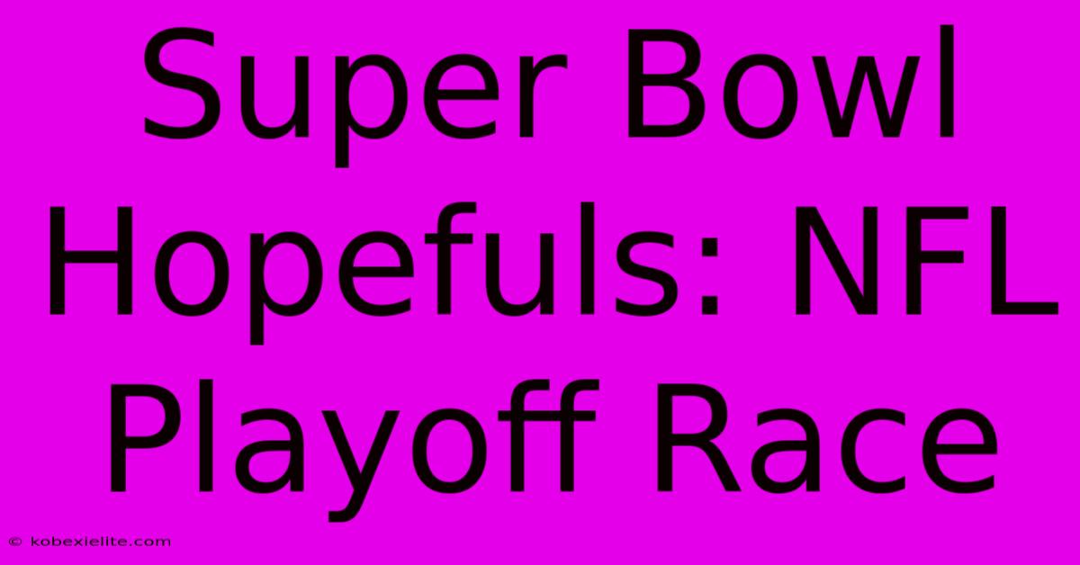 Super Bowl Hopefuls: NFL Playoff Race