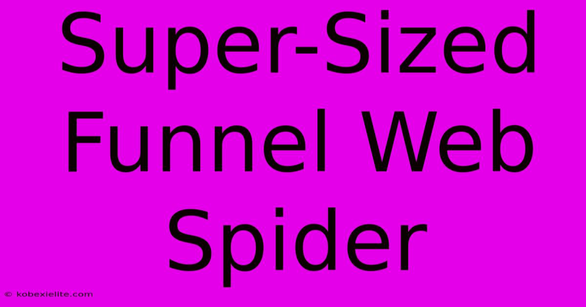 Super-Sized Funnel Web Spider