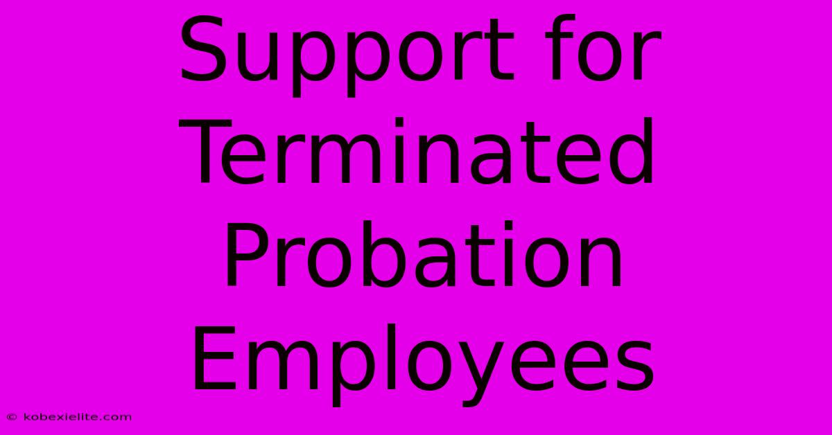 Support For Terminated Probation Employees