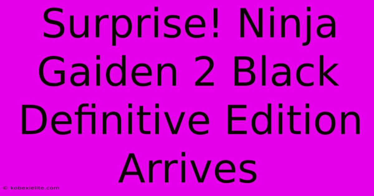 Surprise! Ninja Gaiden 2 Black Definitive Edition Arrives