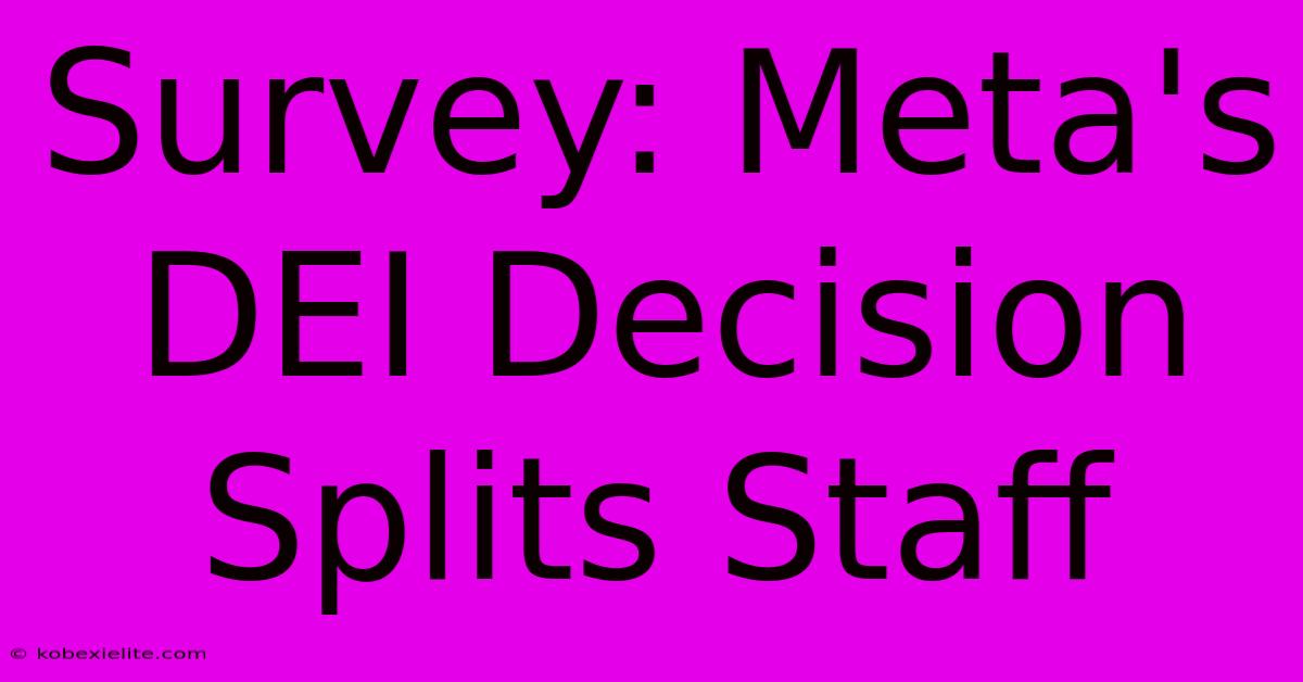 Survey: Meta's DEI Decision Splits Staff