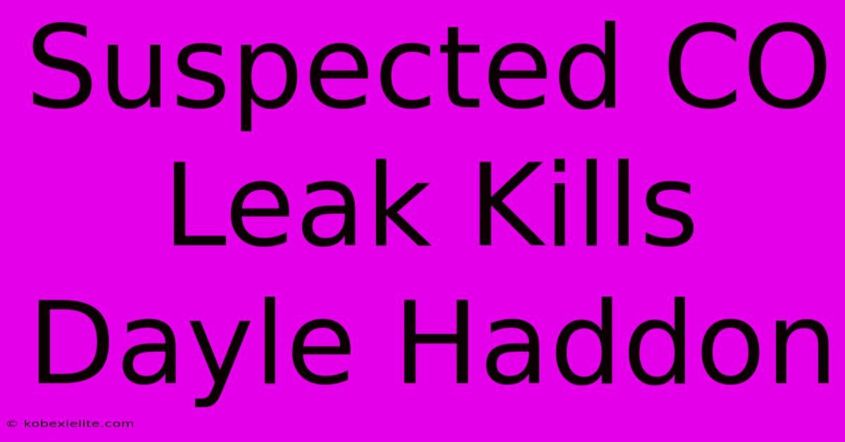 Suspected CO Leak Kills Dayle Haddon