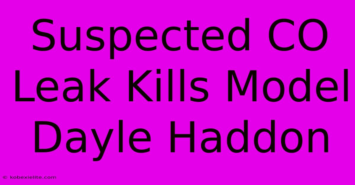 Suspected CO Leak Kills Model Dayle Haddon