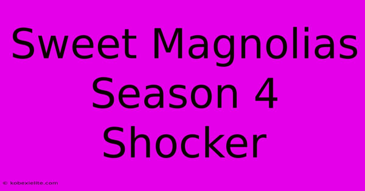 Sweet Magnolias Season 4 Shocker