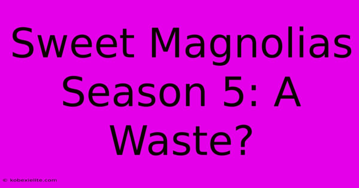 Sweet Magnolias Season 5: A Waste?