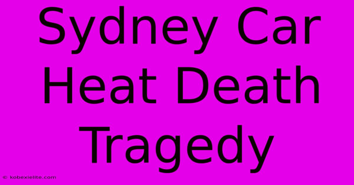 Sydney Car Heat Death Tragedy