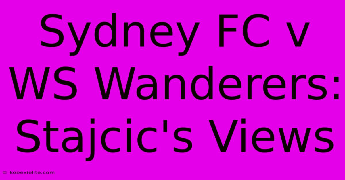 Sydney FC V WS Wanderers: Stajcic's Views