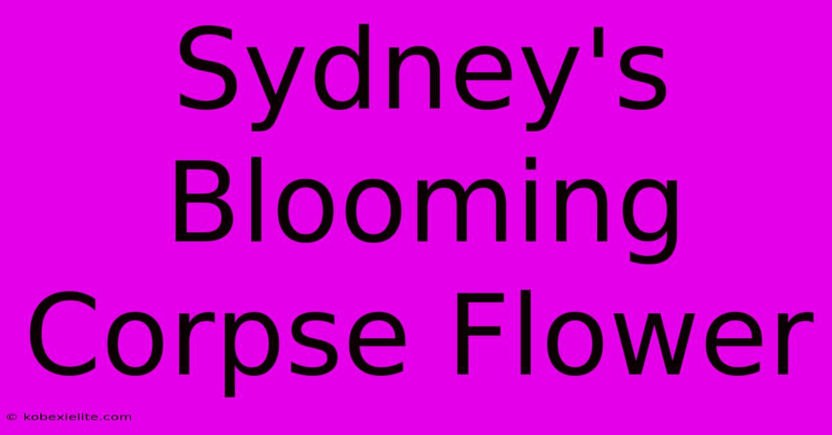 Sydney's Blooming Corpse Flower