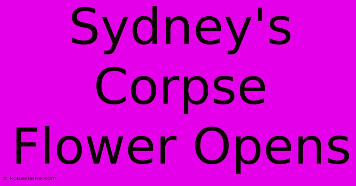 Sydney's Corpse Flower Opens