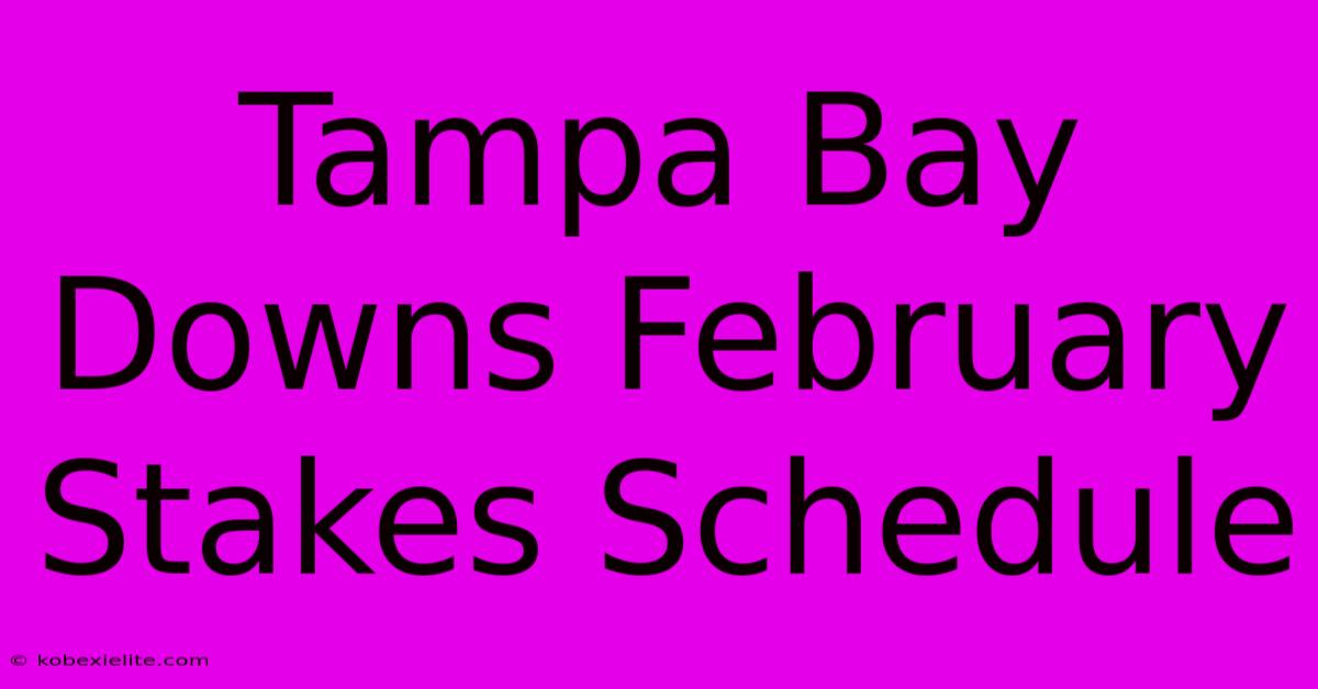 Tampa Bay Downs February Stakes Schedule