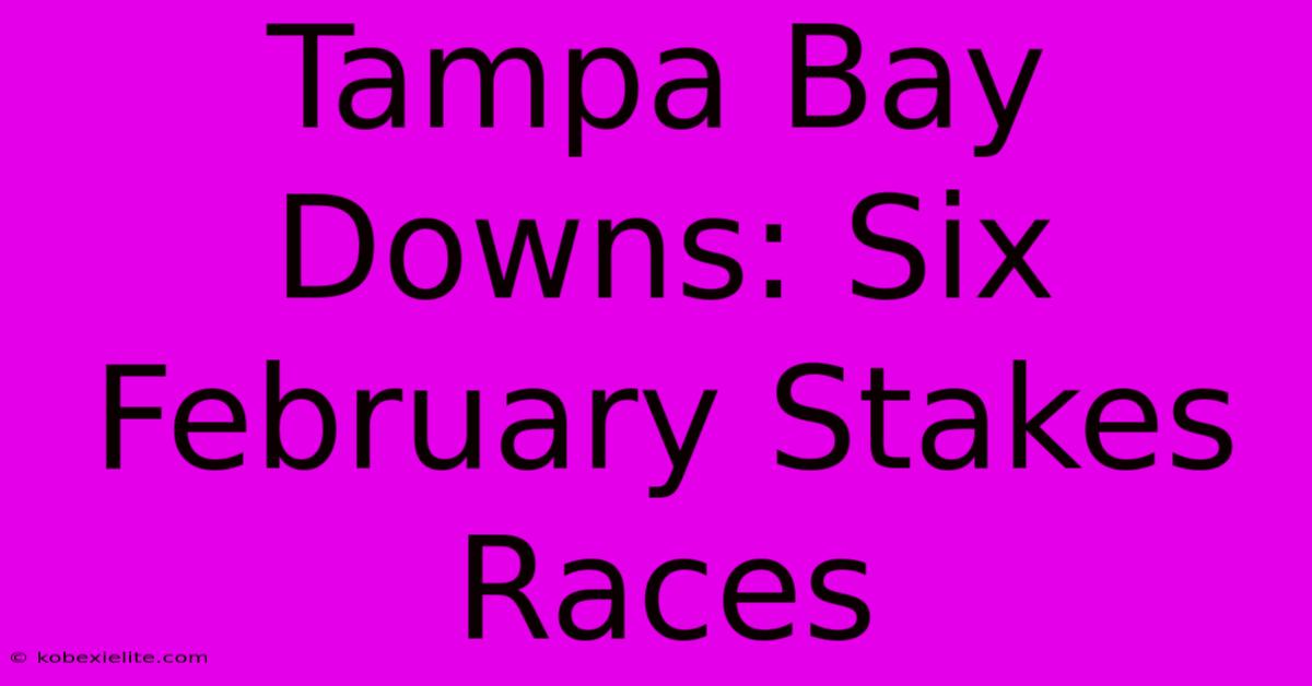 Tampa Bay Downs: Six February Stakes Races