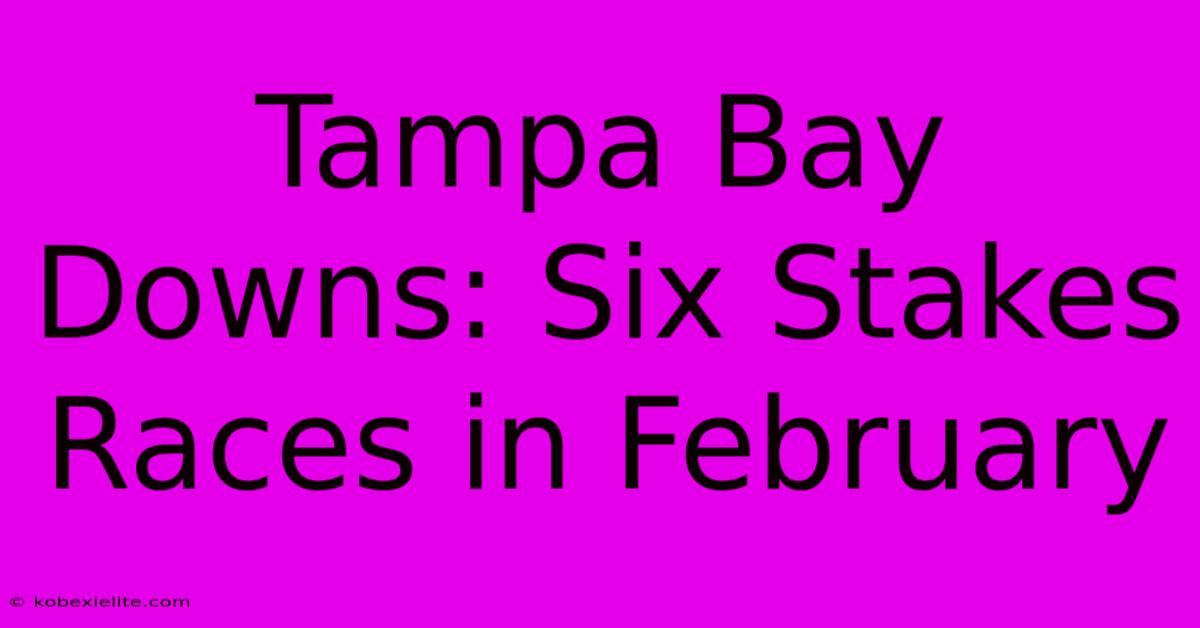 Tampa Bay Downs: Six Stakes Races In February