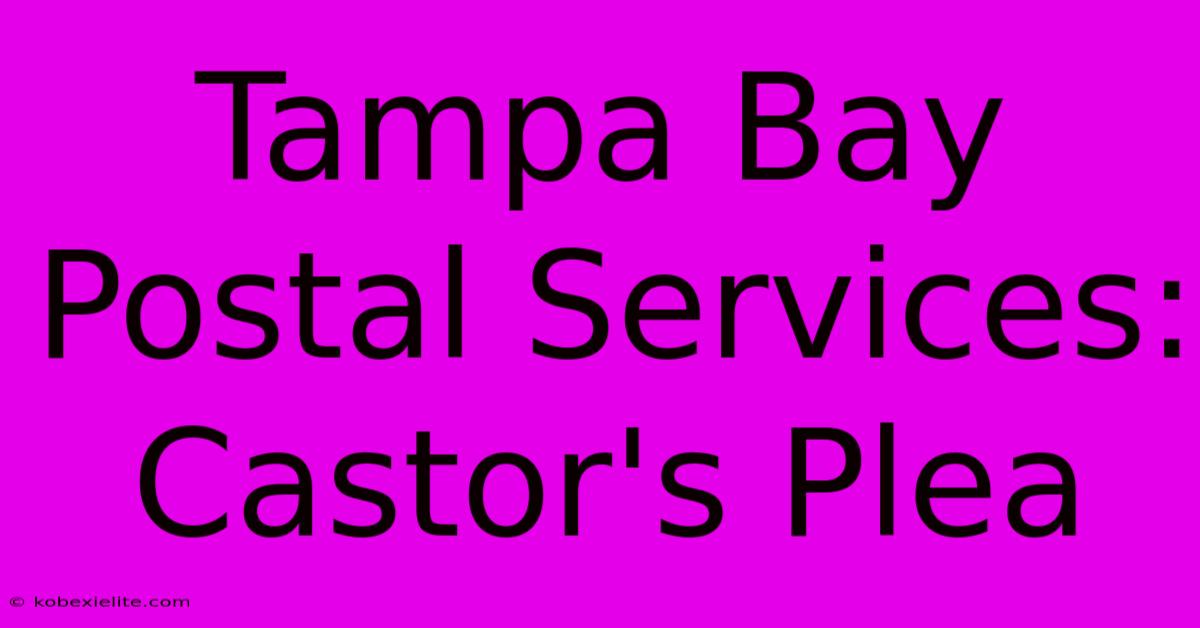 Tampa Bay Postal Services: Castor's Plea