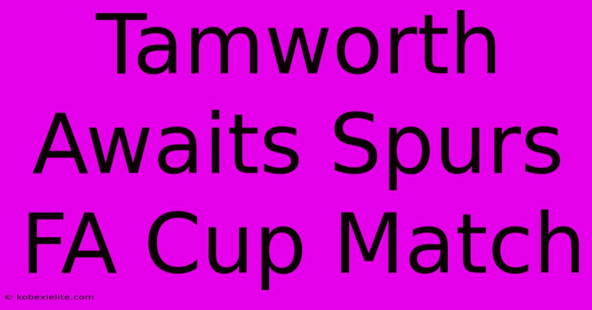 Tamworth Awaits Spurs FA Cup Match