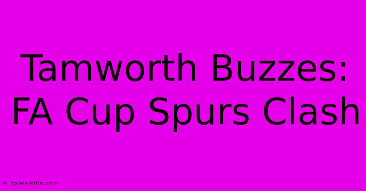 Tamworth Buzzes: FA Cup Spurs Clash