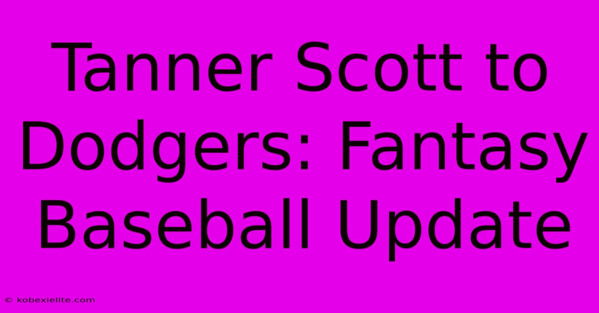 Tanner Scott To Dodgers: Fantasy Baseball Update