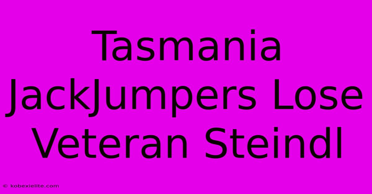 Tasmania JackJumpers Lose Veteran Steindl