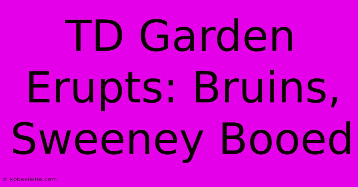 TD Garden Erupts: Bruins, Sweeney Booed