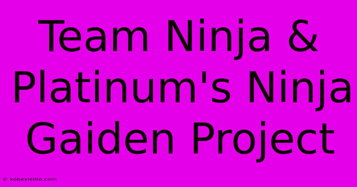 Team Ninja & Platinum's Ninja Gaiden Project