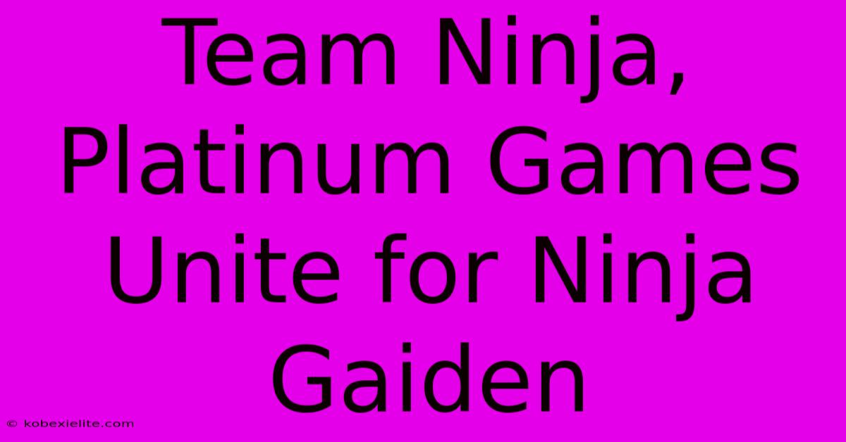 Team Ninja, Platinum Games Unite For Ninja Gaiden