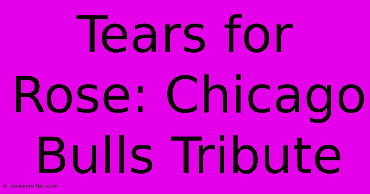 Tears For Rose: Chicago Bulls Tribute