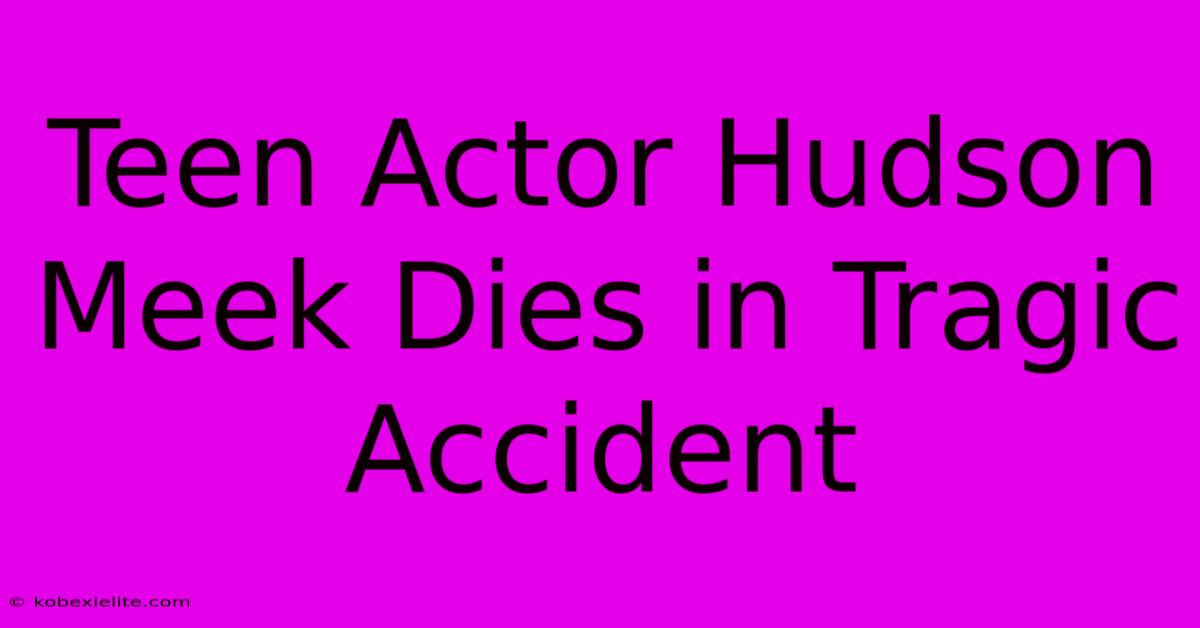 Teen Actor Hudson Meek Dies In Tragic Accident