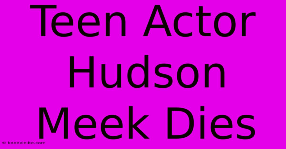 Teen Actor Hudson Meek Dies