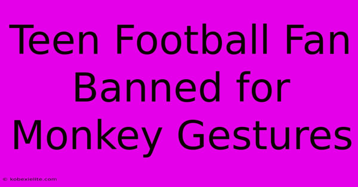 Teen Football Fan Banned For Monkey Gestures