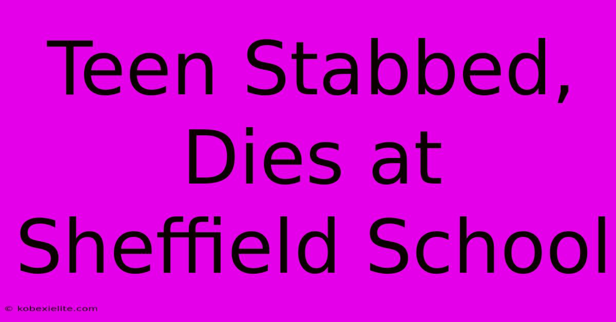 Teen Stabbed, Dies At Sheffield School