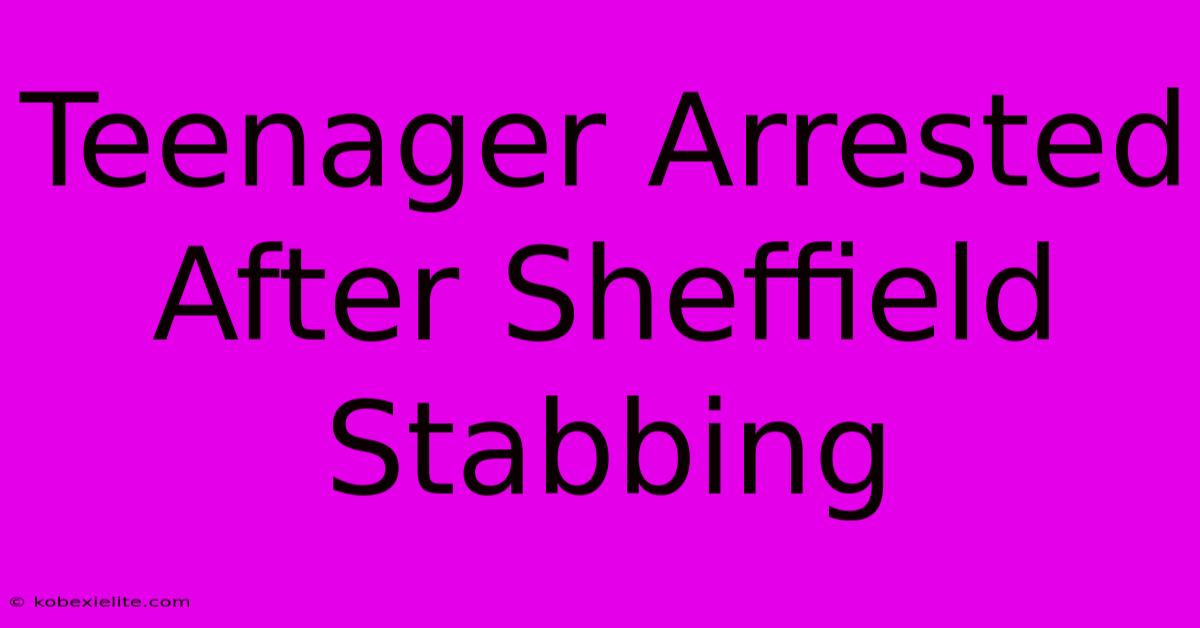 Teenager Arrested After Sheffield Stabbing