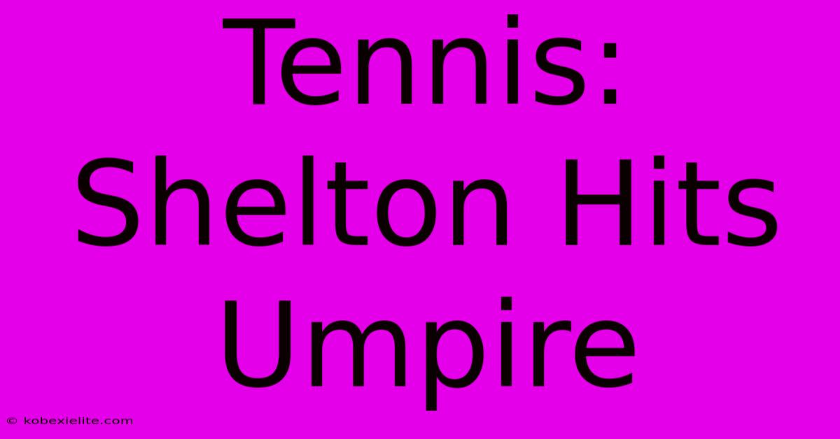 Tennis: Shelton Hits Umpire