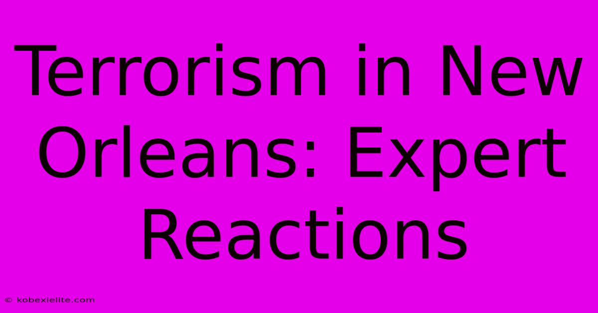 Terrorism In New Orleans: Expert Reactions