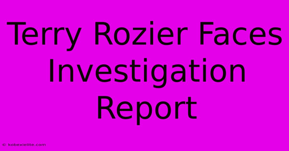 Terry Rozier Faces Investigation Report