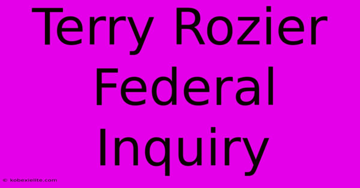 Terry Rozier Federal Inquiry