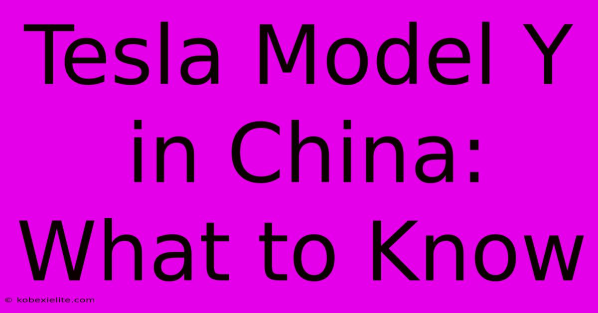 Tesla Model Y In China: What To Know