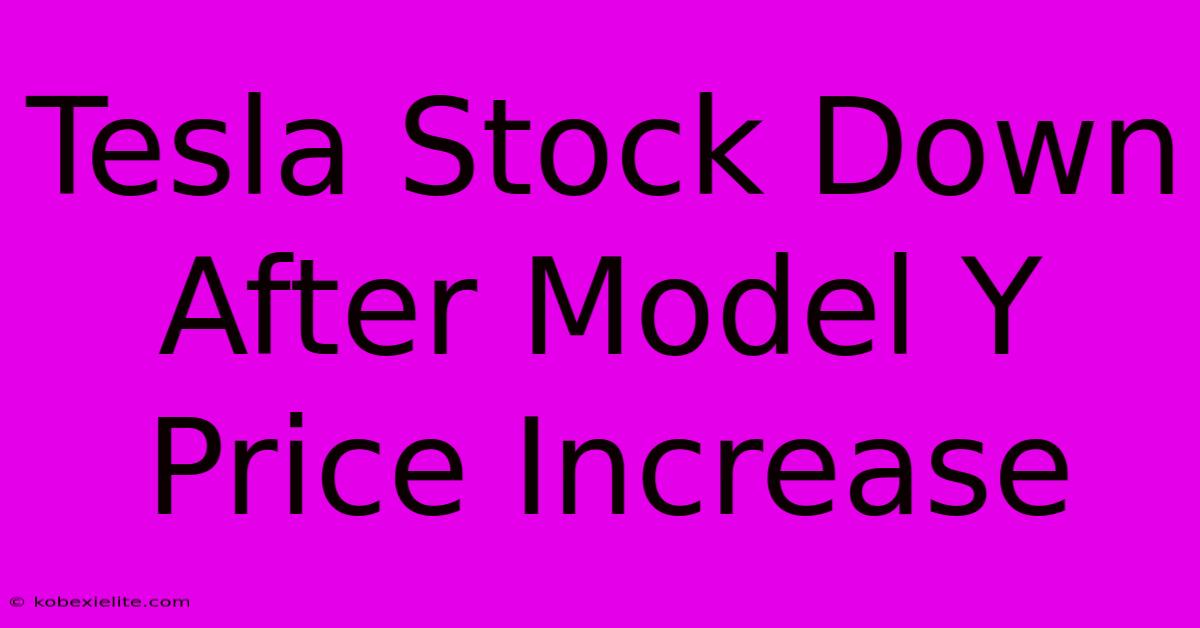 Tesla Stock Down After Model Y Price Increase