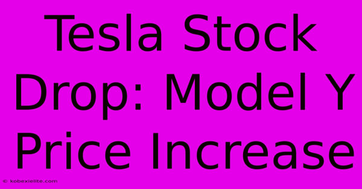 Tesla Stock Drop: Model Y Price Increase