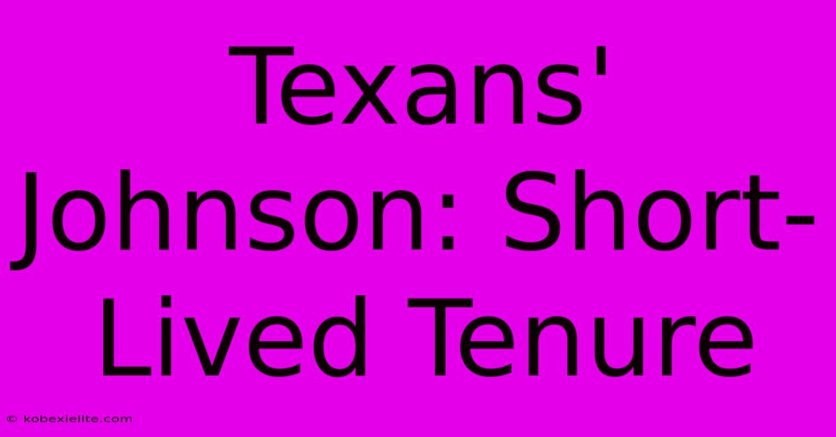 Texans' Johnson: Short-Lived Tenure