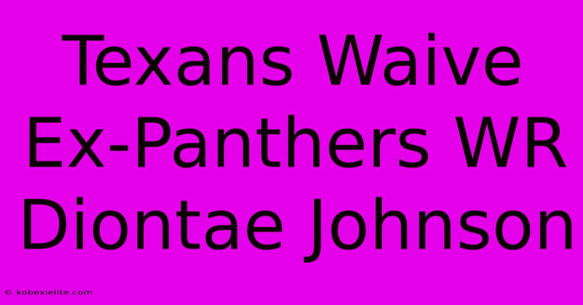 Texans Waive Ex-Panthers WR Diontae Johnson