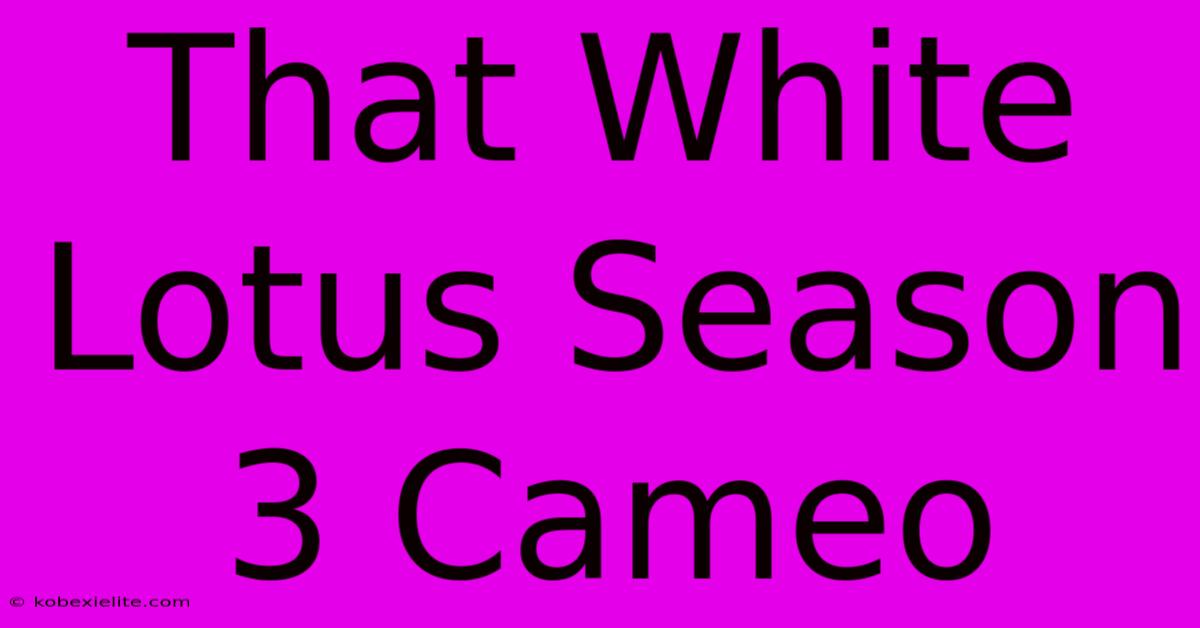 That White Lotus Season 3 Cameo