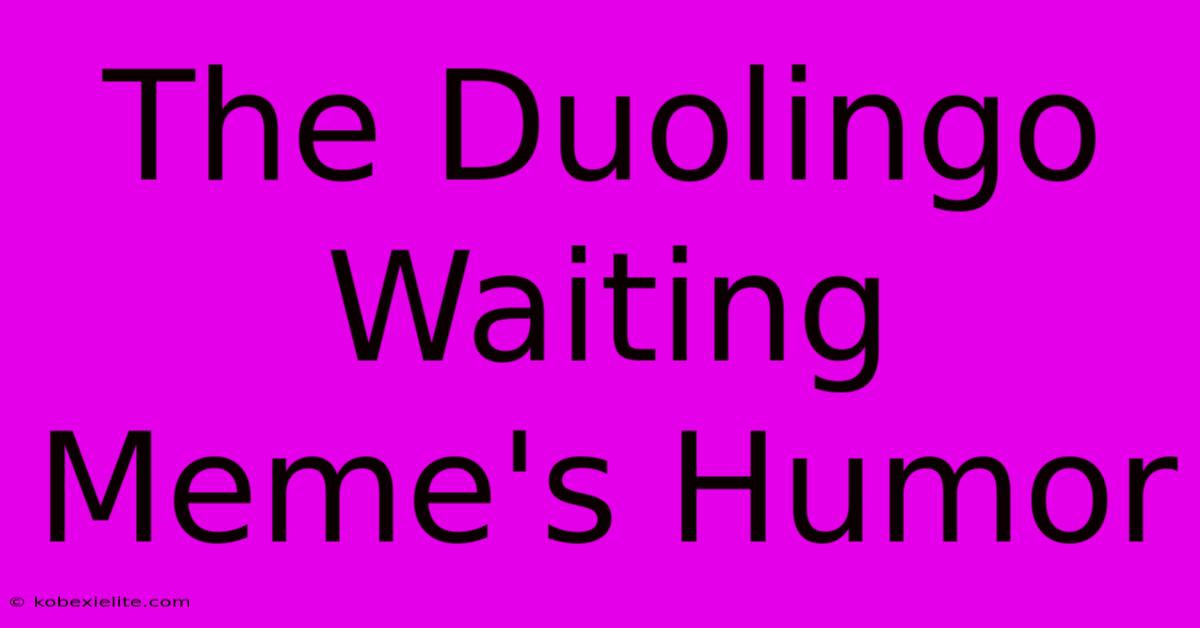 The Duolingo Waiting Meme's Humor