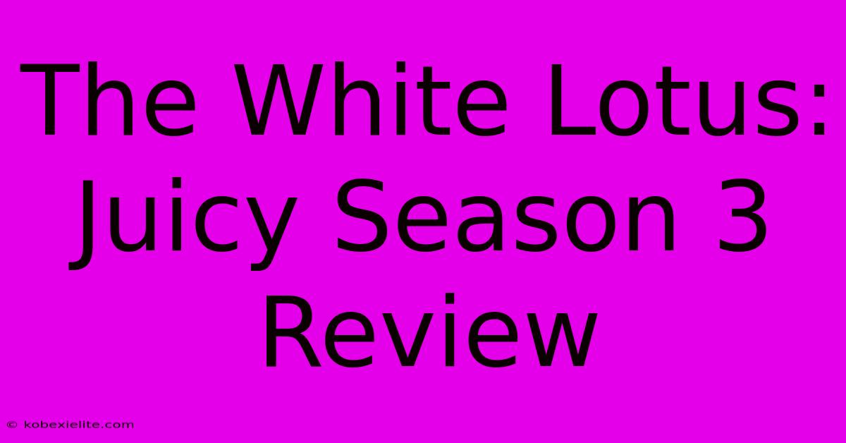 The White Lotus: Juicy Season 3 Review