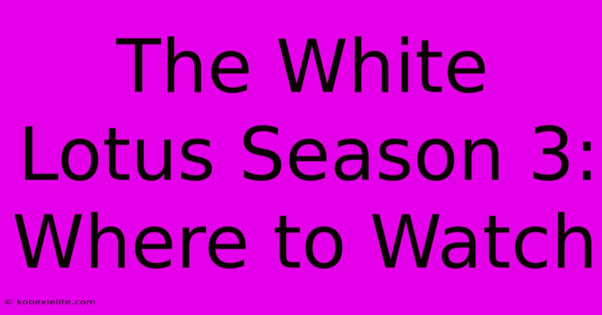 The White Lotus Season 3: Where To Watch