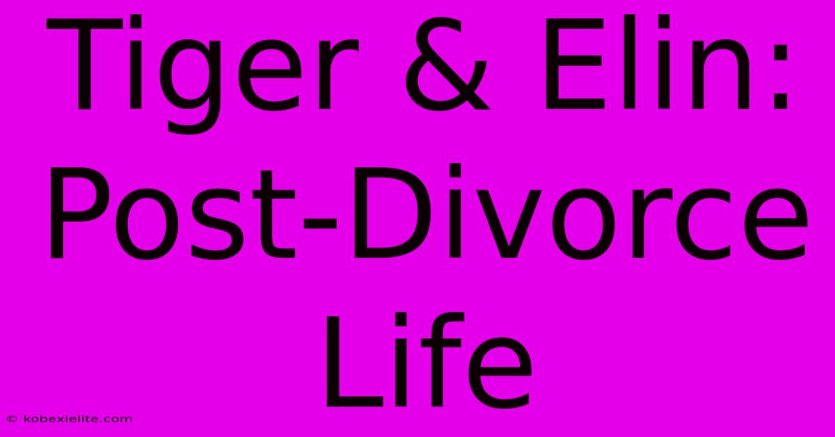 Tiger & Elin: Post-Divorce Life