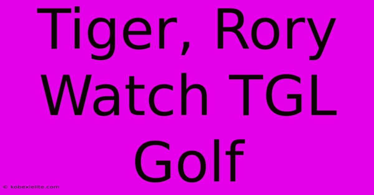 Tiger, Rory Watch TGL Golf