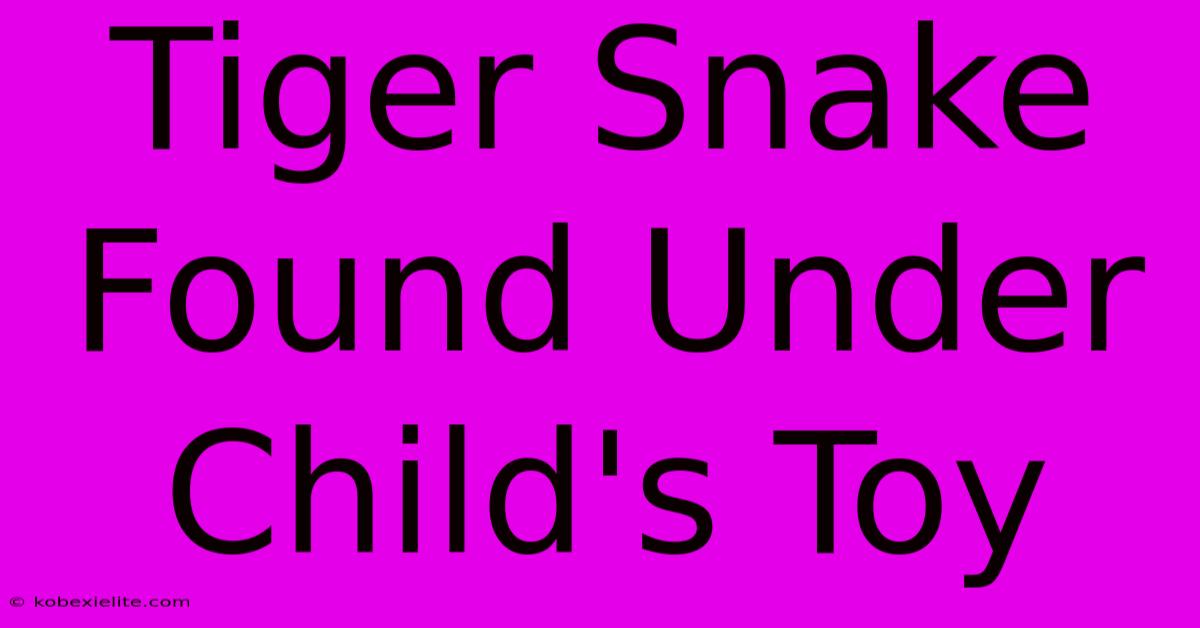 Tiger Snake Found Under Child's Toy