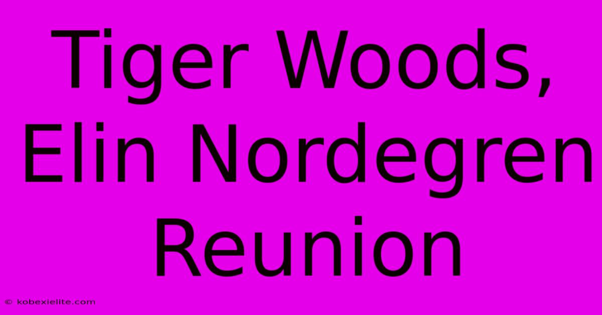 Tiger Woods, Elin Nordegren Reunion